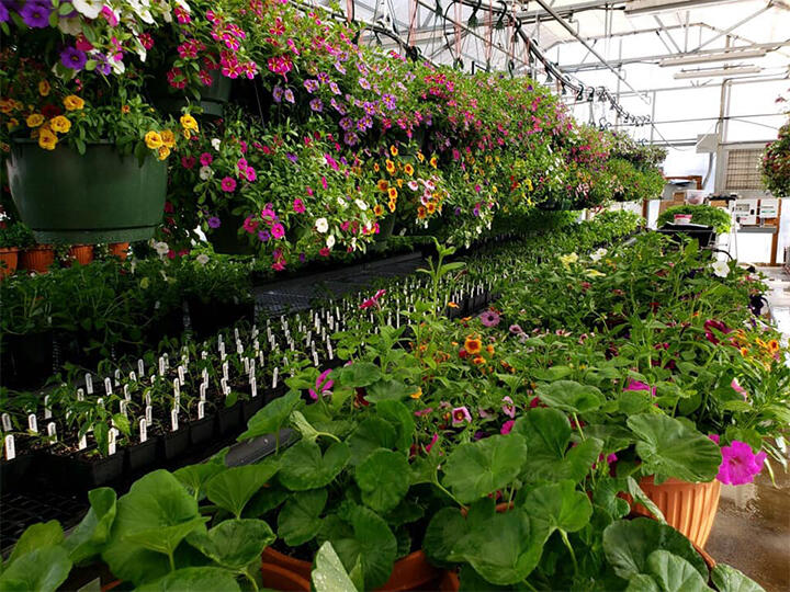 ffa greenhouse